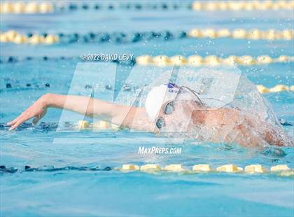 Thumbnail 2 in AIA D2 Swim Finals photogallery.