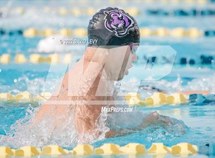 Thumbnail 2 in AIA D2 Swim Finals photogallery.