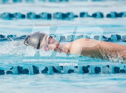 Thumbnail 3 in AIA D2 Swim Finals photogallery.