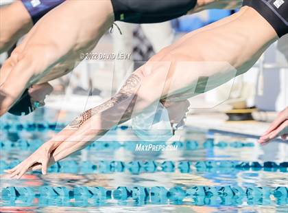 Thumbnail 3 in AIA D2 Swim Finals photogallery.