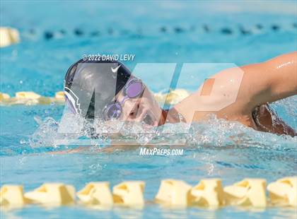 Thumbnail 2 in AIA D2 Swim Finals photogallery.