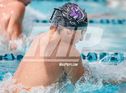 Thumbnail 3 in AIA D2 Swim Finals photogallery.