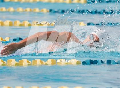 Thumbnail 1 in AIA D2 Swim Finals photogallery.