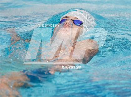 Thumbnail 3 in AIA D2 Swim Finals photogallery.