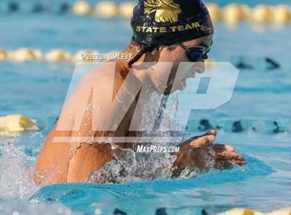 Thumbnail 3 in AIA D2 Swim Finals photogallery.