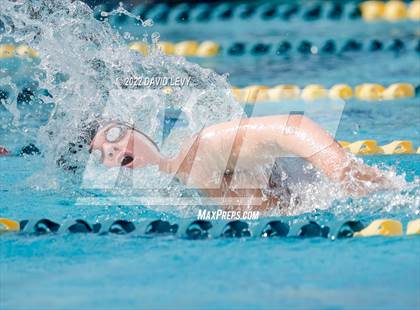 Thumbnail 3 in AIA D2 Swim Finals photogallery.