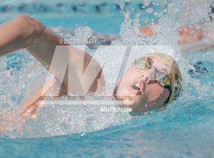 Thumbnail 2 in AIA D2 Swim Finals photogallery.