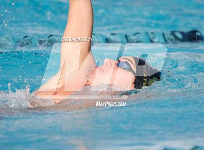 Thumbnail 2 in AIA D2 Swim Finals photogallery.