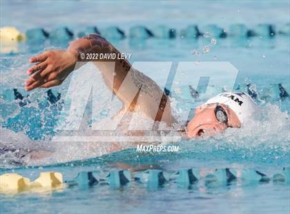 Thumbnail 1 in AIA D2 Swim Finals photogallery.