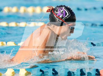 Thumbnail 2 in AIA D2 Swim Finals photogallery.
