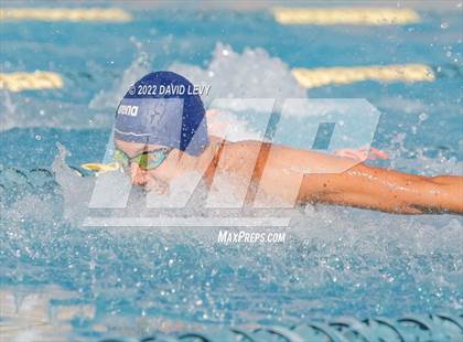 Thumbnail 1 in AIA D2 Swim Finals photogallery.