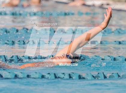 Thumbnail 3 in AIA D2 Swim Finals photogallery.
