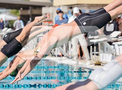 Thumbnail 1 in AIA D2 Swim Finals photogallery.