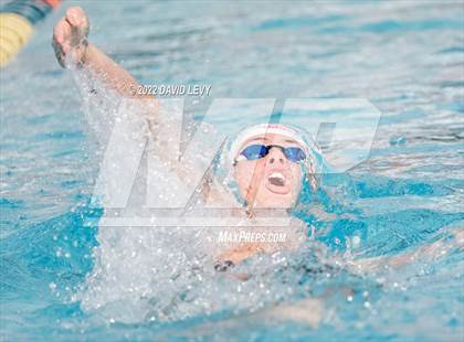 Thumbnail 3 in AIA D2 Swim Finals photogallery.