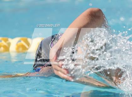 Thumbnail 1 in AIA D2 Swim Finals photogallery.