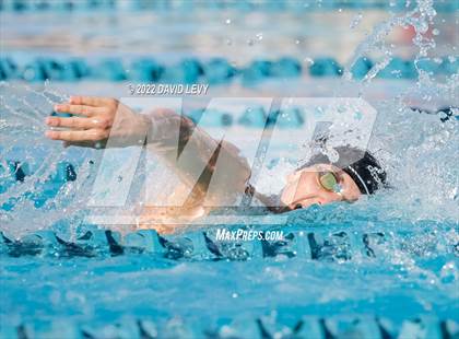 Thumbnail 1 in AIA D2 Swim Finals photogallery.