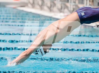 Thumbnail 3 in AIA D2 Swim Finals photogallery.