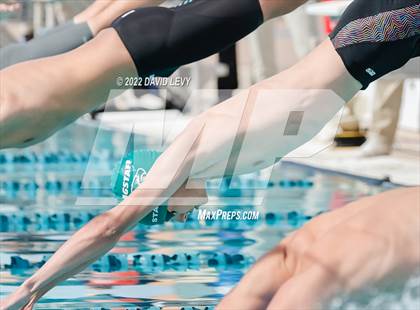 Thumbnail 3 in AIA D2 Swim Finals photogallery.