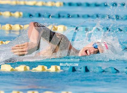 Thumbnail 3 in AIA D2 Swim Finals photogallery.