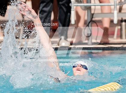 Thumbnail 2 in AIA D2 Swim Finals photogallery.