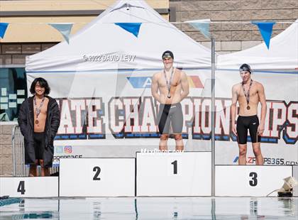Thumbnail 1 in AIA D2 Swim Finals photogallery.