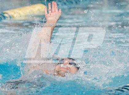 Thumbnail 2 in AIA D2 Swim Finals photogallery.