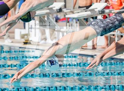 Thumbnail 2 in AIA D2 Swim Finals photogallery.