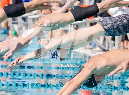 Thumbnail 1 in AIA D2 Swim Finals photogallery.