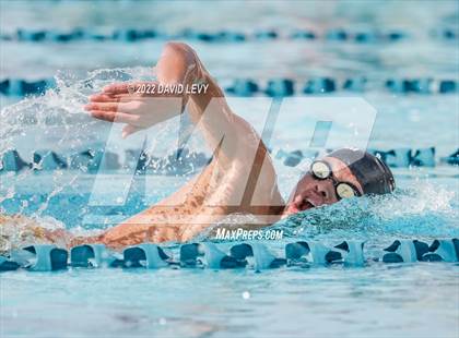 Thumbnail 1 in AIA D2 Swim Finals photogallery.