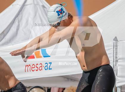 Thumbnail 1 in AIA D2 Swim Finals photogallery.