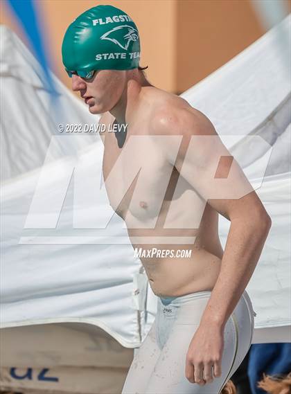 Thumbnail 1 in AIA D2 Swim Finals photogallery.