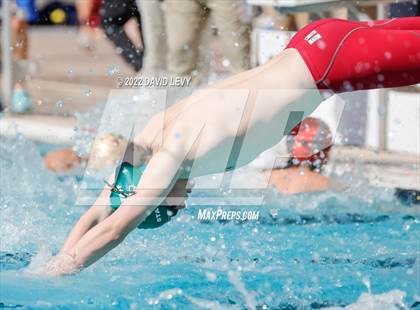 Thumbnail 2 in AIA D2 Swim Finals photogallery.