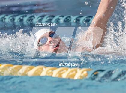 Thumbnail 3 in AIA D2 Swim Finals photogallery.