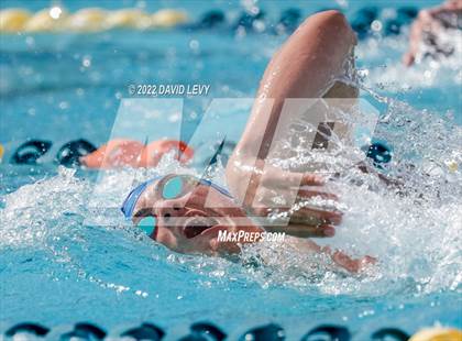 Thumbnail 2 in AIA D2 Swim Finals photogallery.
