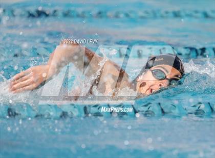 Thumbnail 2 in AIA D2 Swim Finals photogallery.