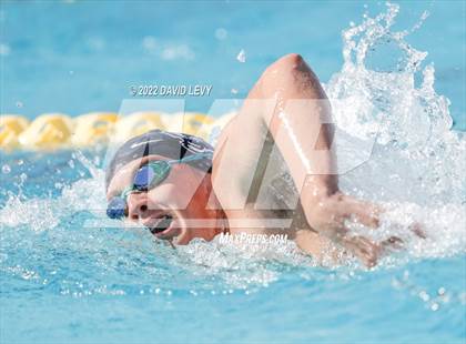 Thumbnail 2 in AIA D2 Swim Finals photogallery.
