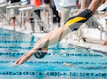 Thumbnail 2 in AIA D2 Swim Finals photogallery.