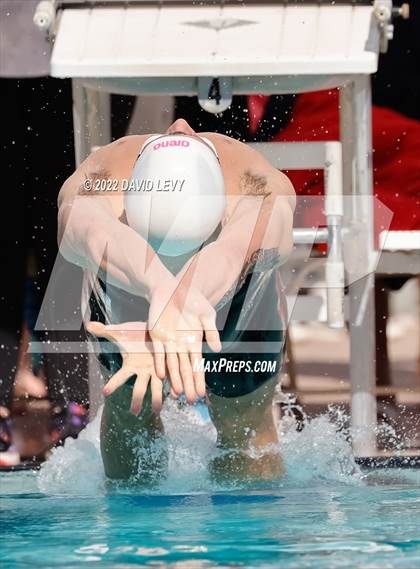 Thumbnail 1 in AIA D2 Swim Finals photogallery.