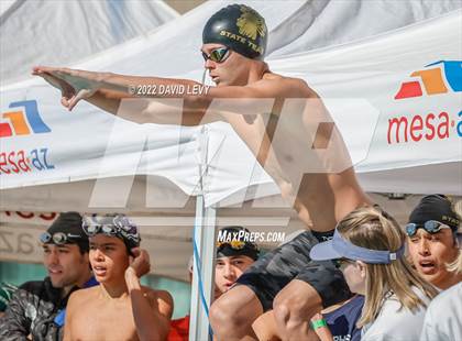 Thumbnail 3 in AIA D2 Swim Finals photogallery.