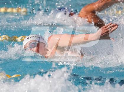 Thumbnail 3 in AIA D2 Swim Finals photogallery.