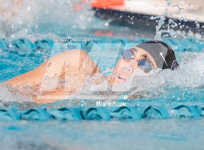 Thumbnail 1 in AIA D2 Swim Finals photogallery.
