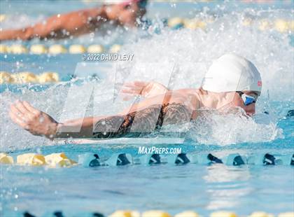 Thumbnail 2 in AIA D2 Swim Finals photogallery.