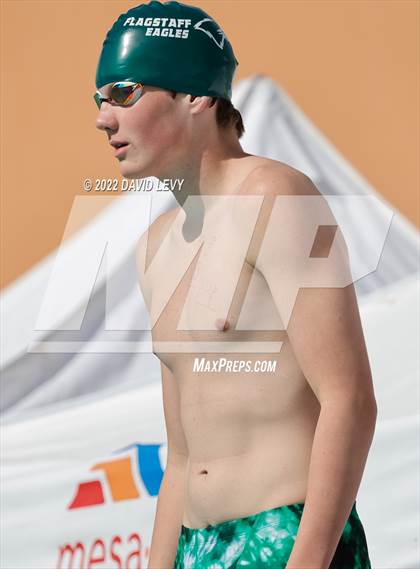 Thumbnail 3 in AIA D2 Swim Finals photogallery.