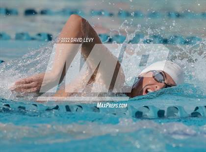Thumbnail 3 in AIA D2 Swim Finals photogallery.