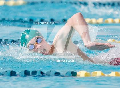 Thumbnail 1 in AIA D2 Swim Finals photogallery.
