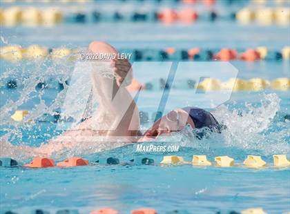 Thumbnail 1 in AIA D2 Swim Finals photogallery.
