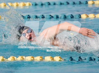 Thumbnail 2 in AIA D2 Swim Finals photogallery.