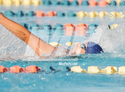 Thumbnail 1 in AIA D2 Swim Finals photogallery.