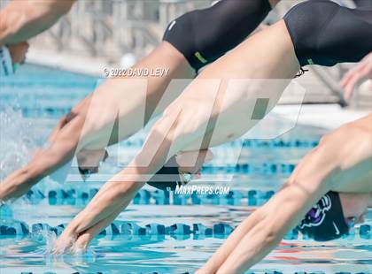 Thumbnail 1 in AIA D2 Swim Finals photogallery.