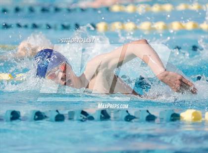 Thumbnail 3 in AIA D2 Swim Finals photogallery.